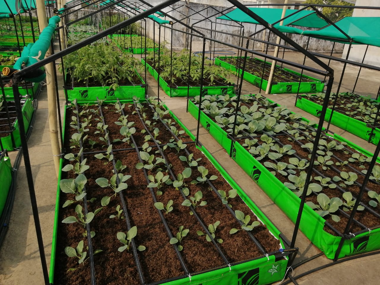 High-End Micro Farm Integration