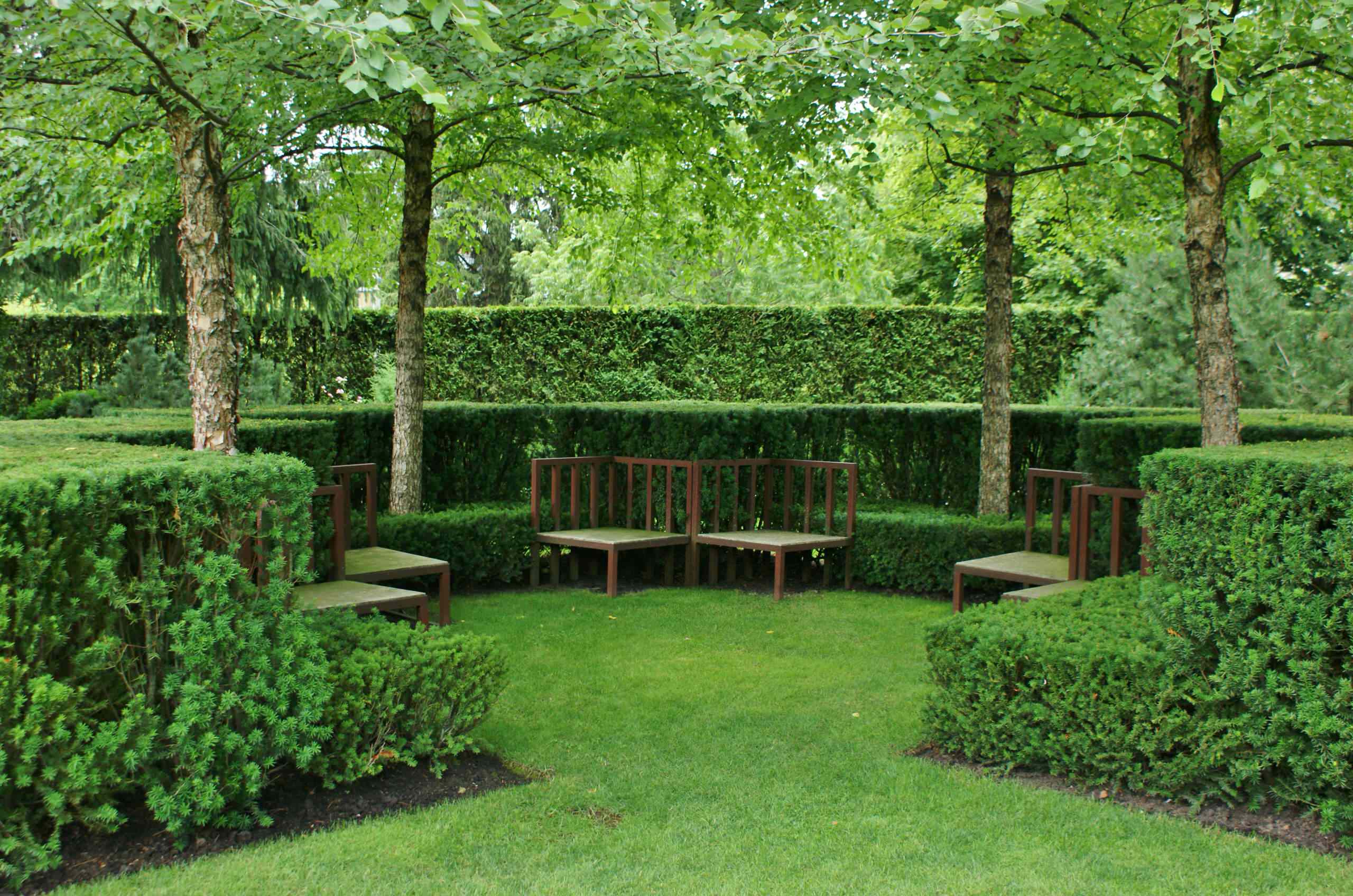 Screen Planting