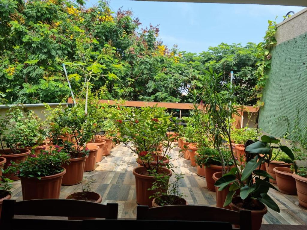 Private Botanical Sanctuary Layout