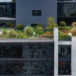 Terrace Garden Design in Coimbatore: Ideas, Costs and the Right Plants