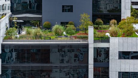 Designed rooftop terrace garden with ornamental grasses, clipped shrubs and a dining area on a modern building