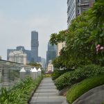 Terrace Garden Design in Chennai: Ideas, Costs and Coastal-Proof Plants