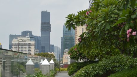 Lush planted rooftop garden walkway overlooking a city skyline