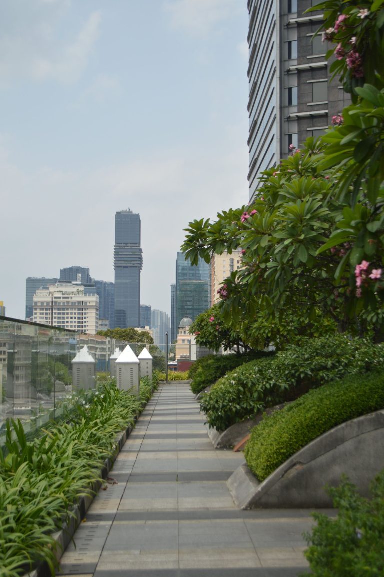 terrace garden urban homes featured
