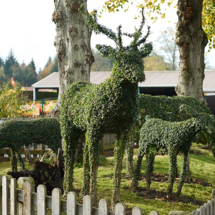 Premium topiary garden sculpted by Green Architects showing geometric spiral forms
