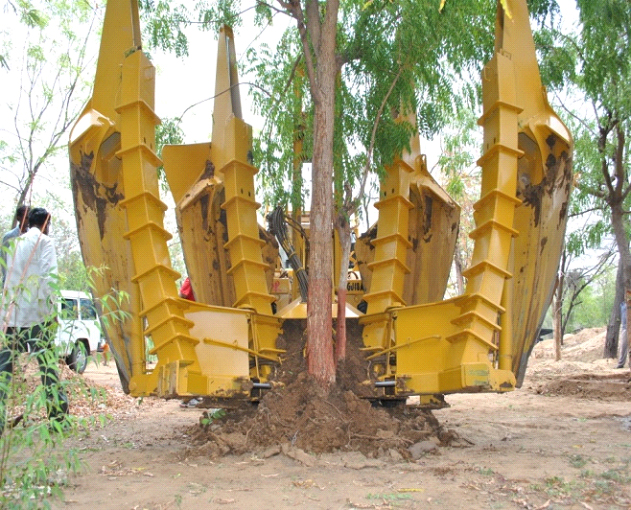 tree lifting