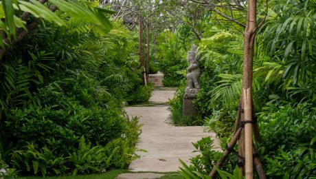 Stone pathway through a lush tropical garden