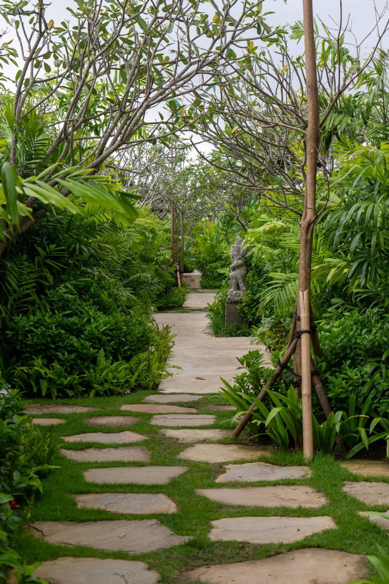 tropical garden stone pathway