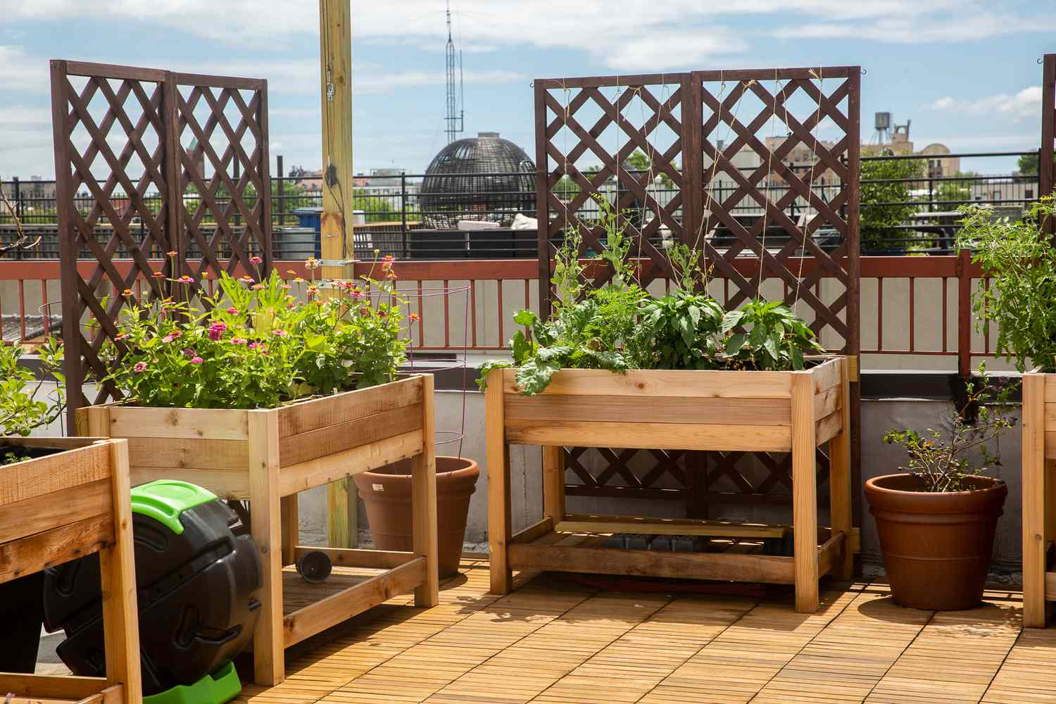 Urban Edible Garden Showcase