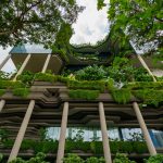 Vertical Gardens (Green Walls) for the Indian Climate: Systems, Plants & Cost
