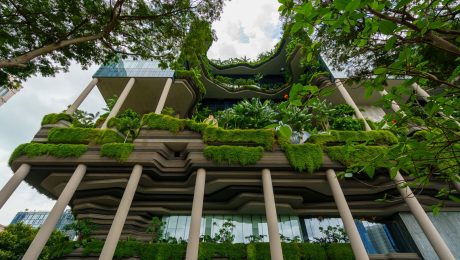 Modern building with cascading vertical gardens and lush planted terraces