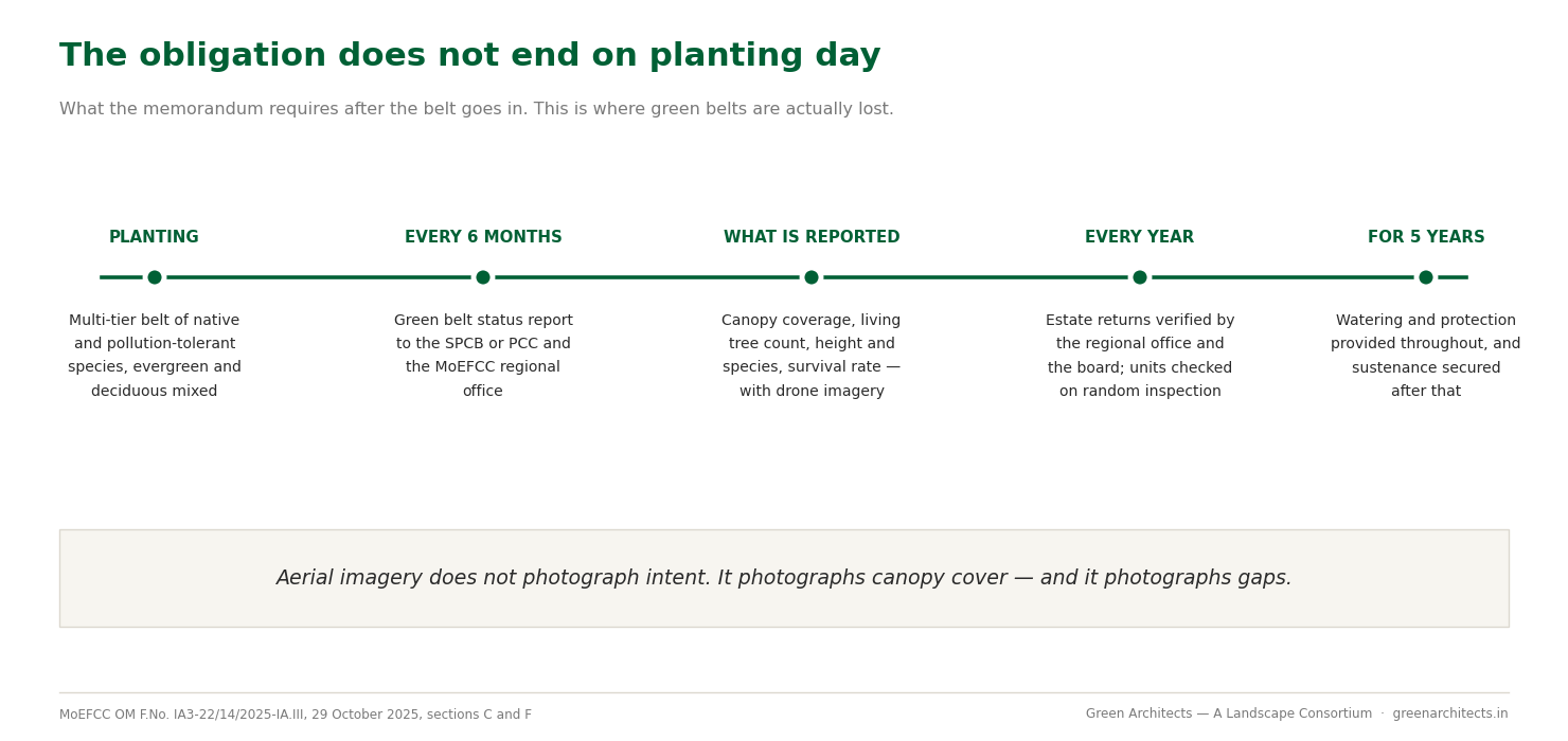 Green Belt Norms for Industries in India (2026): How Much Land You Must Actually Plant 5 Timeline showing green belt obligations after planting: half-yearly reporting, what must be reported, annual verification, and five years of watering and protection