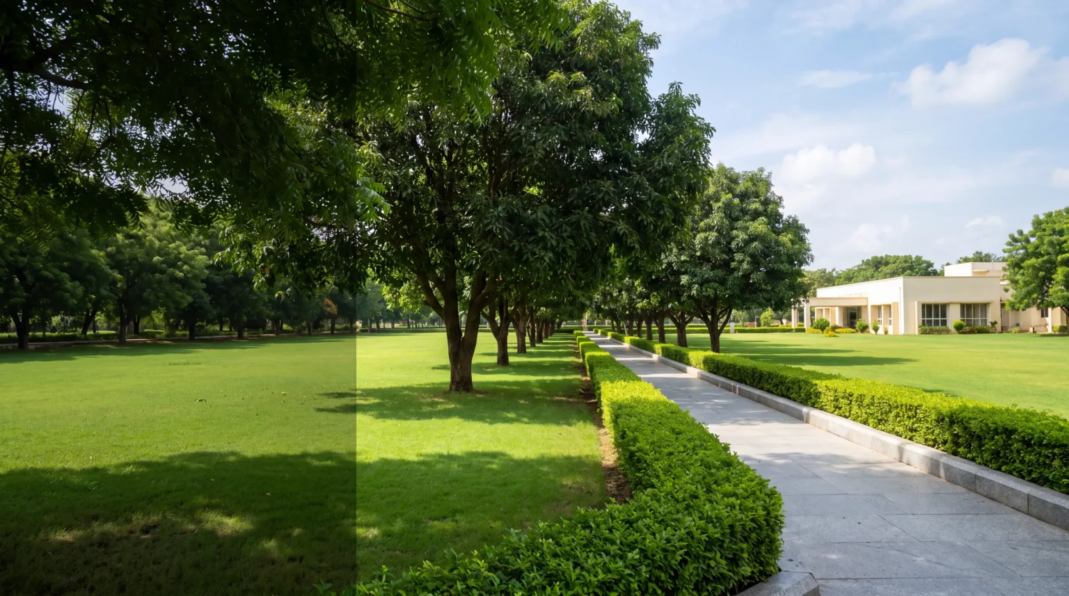 An avenue of mature trees beside a clipped hedge and granite walkway, crossing sunlit mown lawns on a landscaped institutional campus in South India
